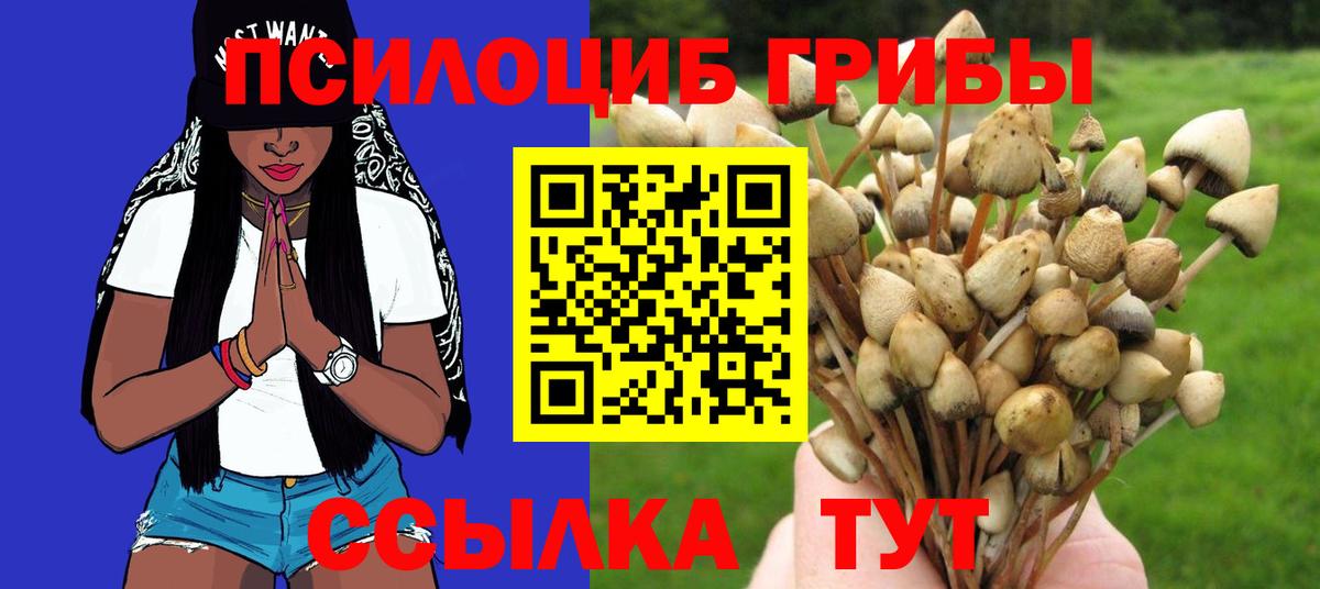 Архангельск  Галлюциногенные грибы GOLDEN TEACHER  Вход с VPN 